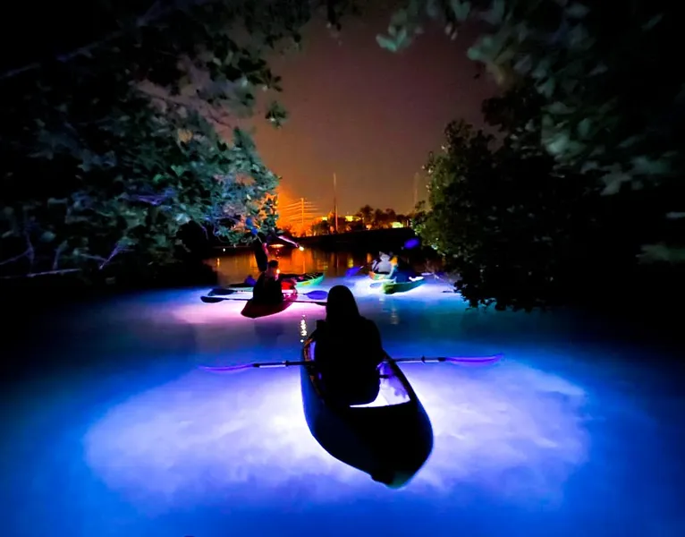 Key West Night Kayak Adventure