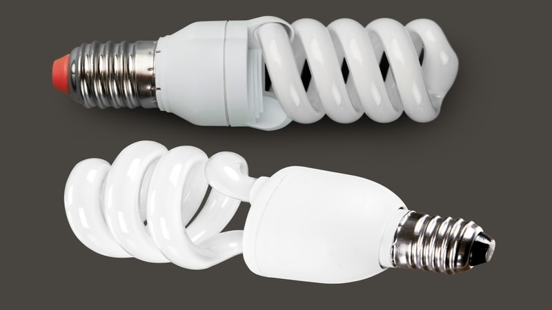 Screw bases in light bulb