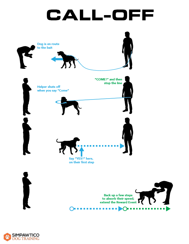Illustration of the Call-Off drill to gradually increase what your dog learns