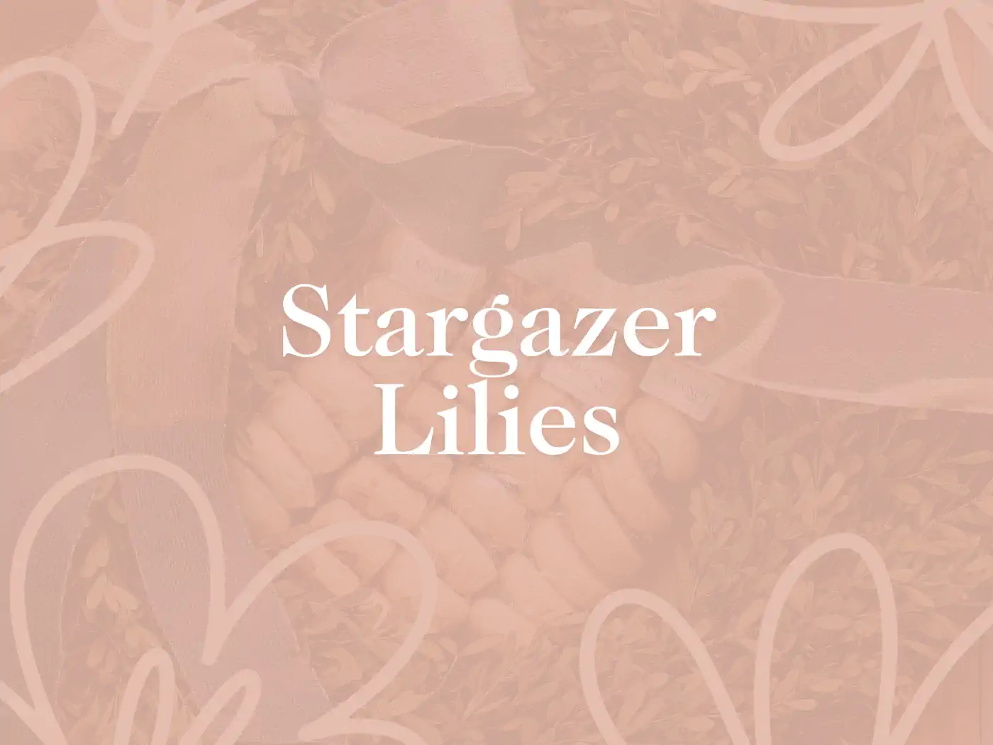 **Elegant text overlay on a delicate background of stargazer lilies, perfect for floral arrangements. Fabulous Flowers and Gifts.**