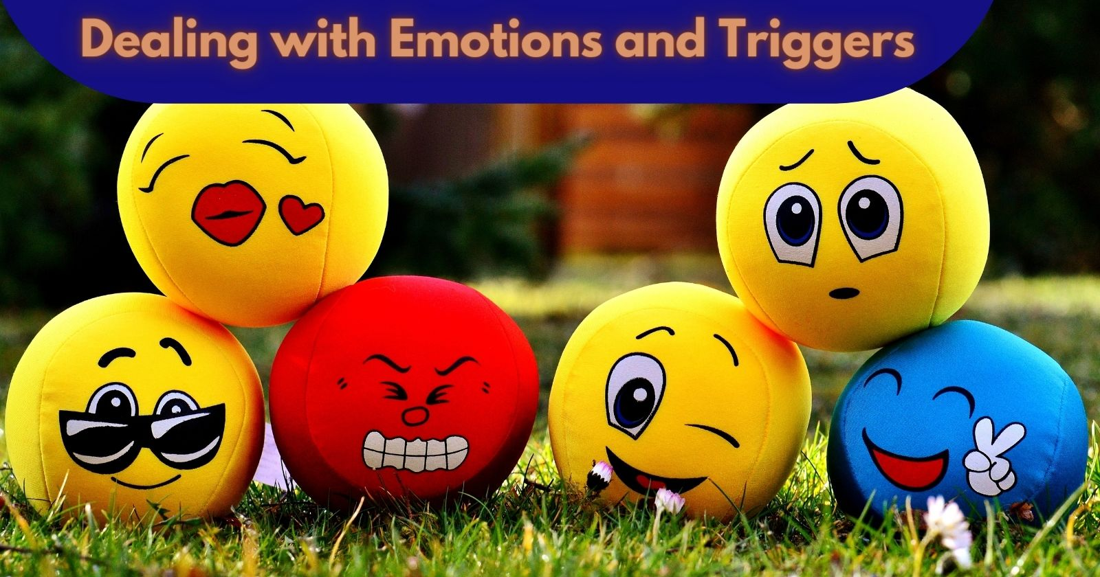 Healing from Trauma
Different face symbols with a text box " Dealing with emotions and triggers"