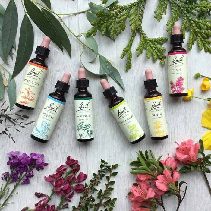 Bottles of Bach Flower Remedies surrounded by various flowers and leaves.