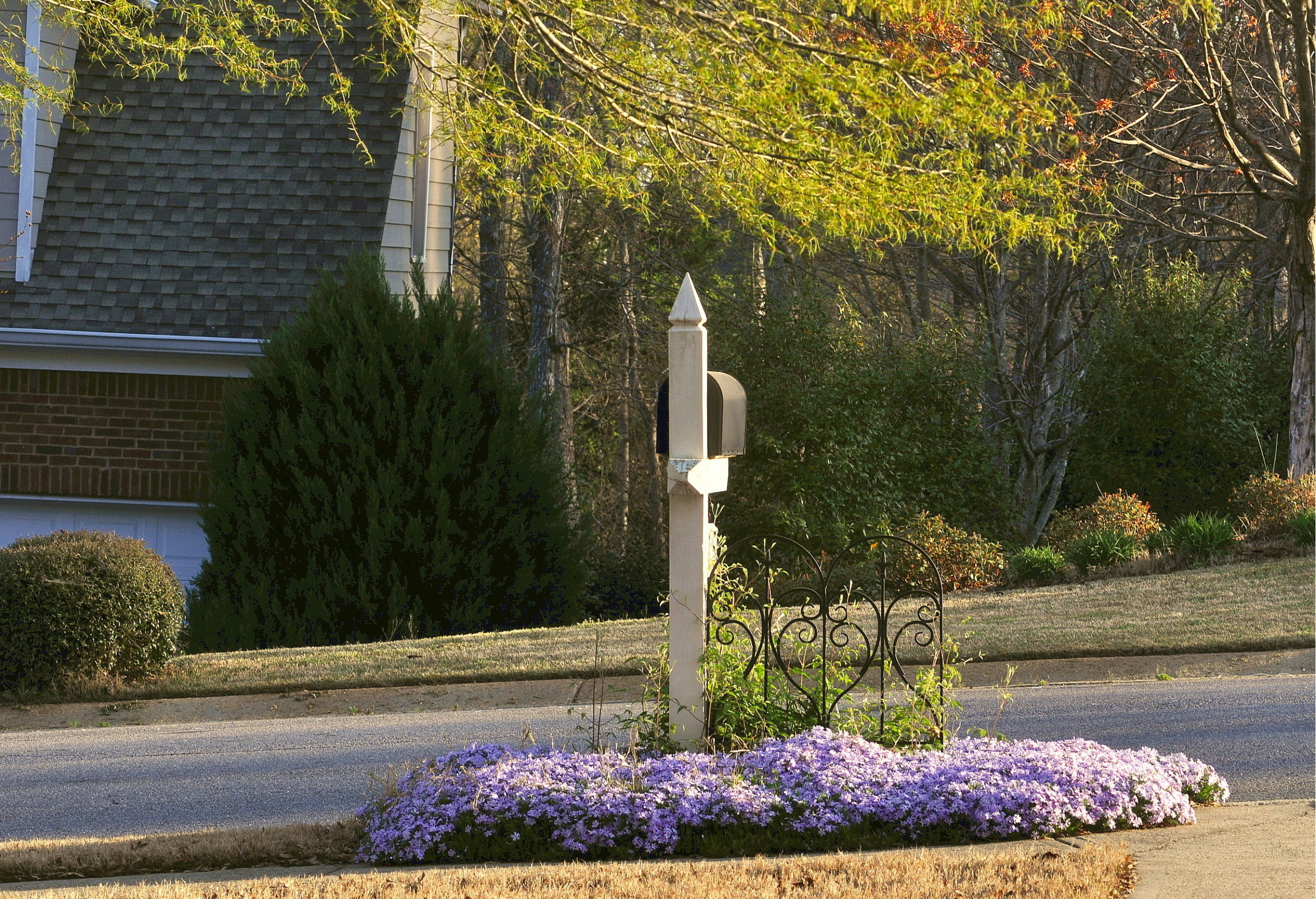 colorful groundcover around a mailbox