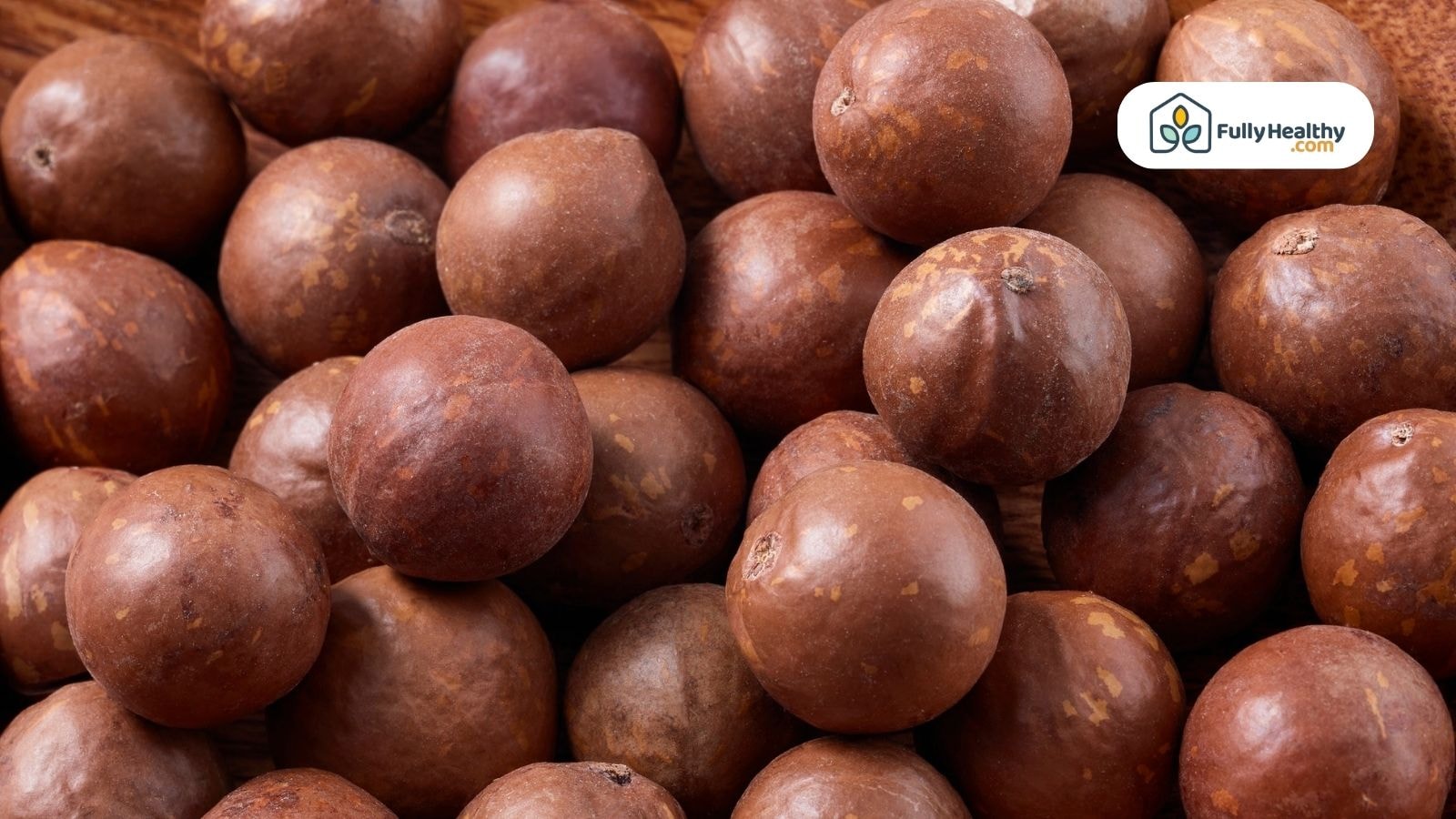 Whole macadamia nuts with brown shells displayed on wooden surface