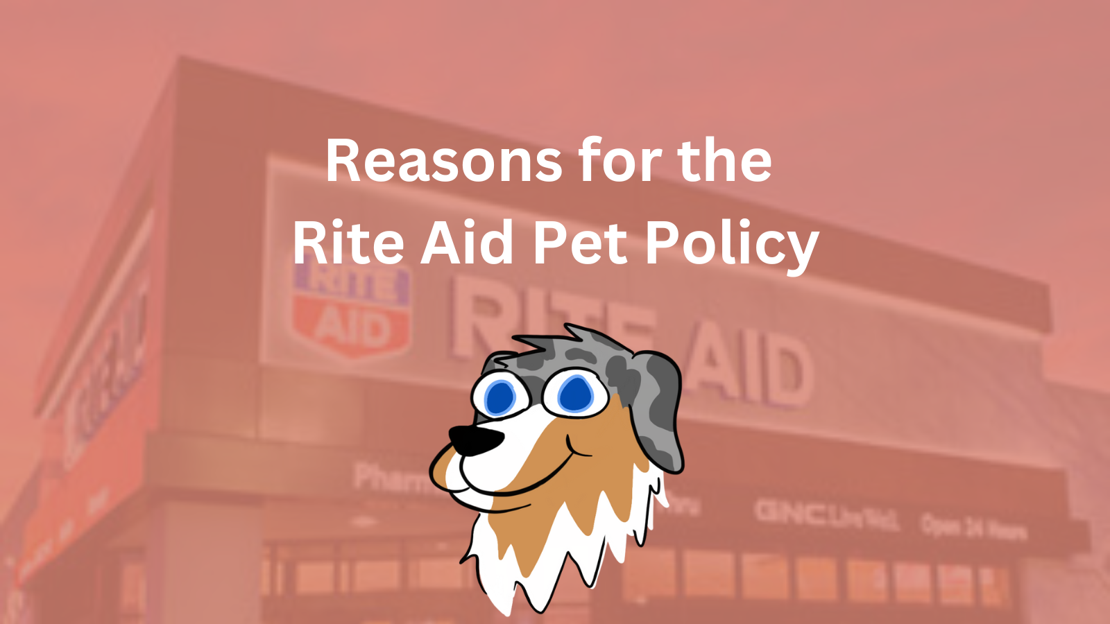 Image Text: "Reasons for the Rite Aid Pet Policy"