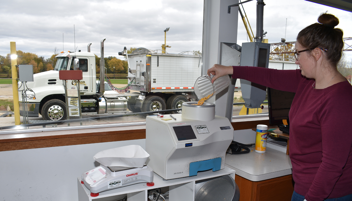 A person pouring a grain sample into a grain moisture tester