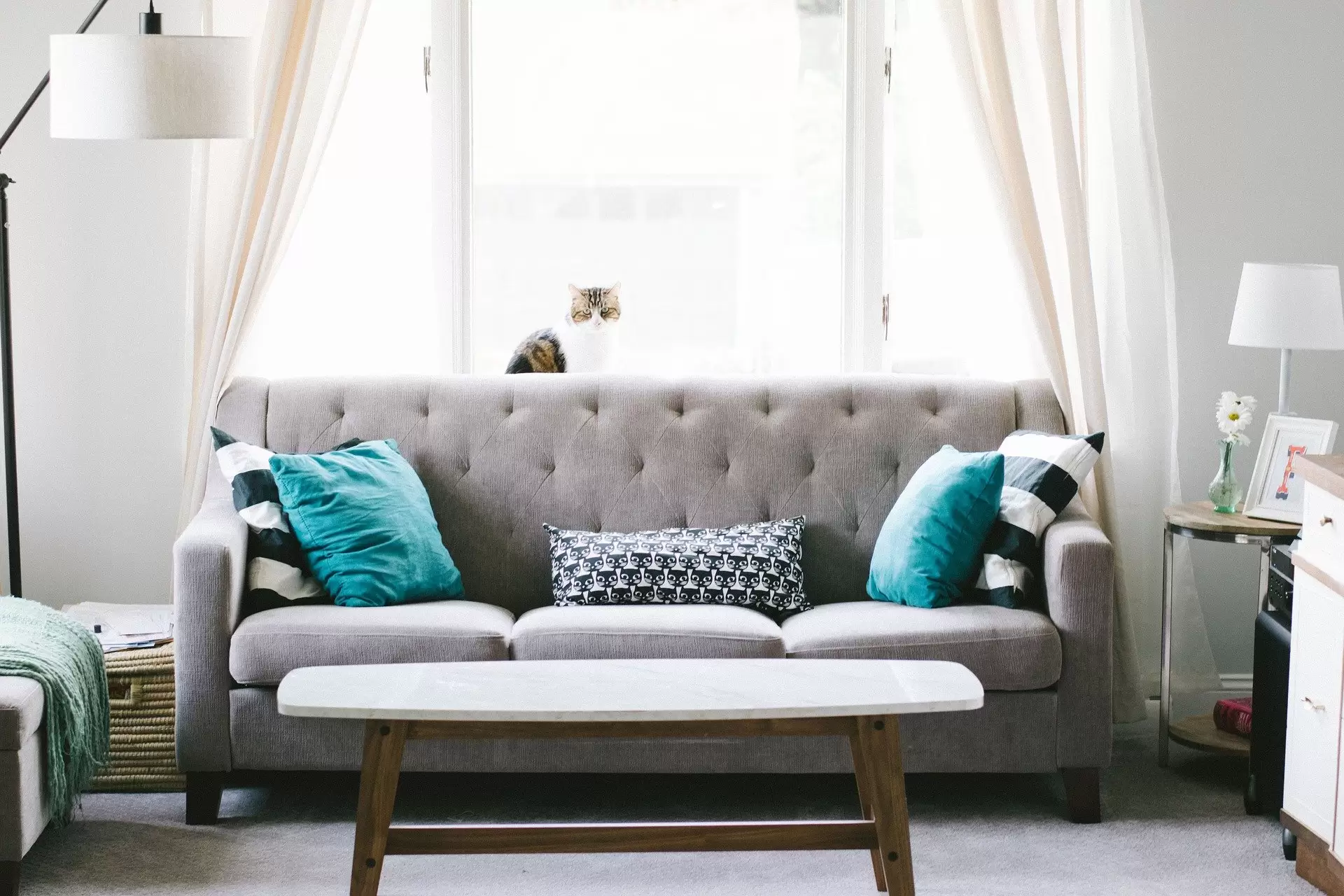 fresh nice grey sofa with blue cushion on them with white clean curtains at the back