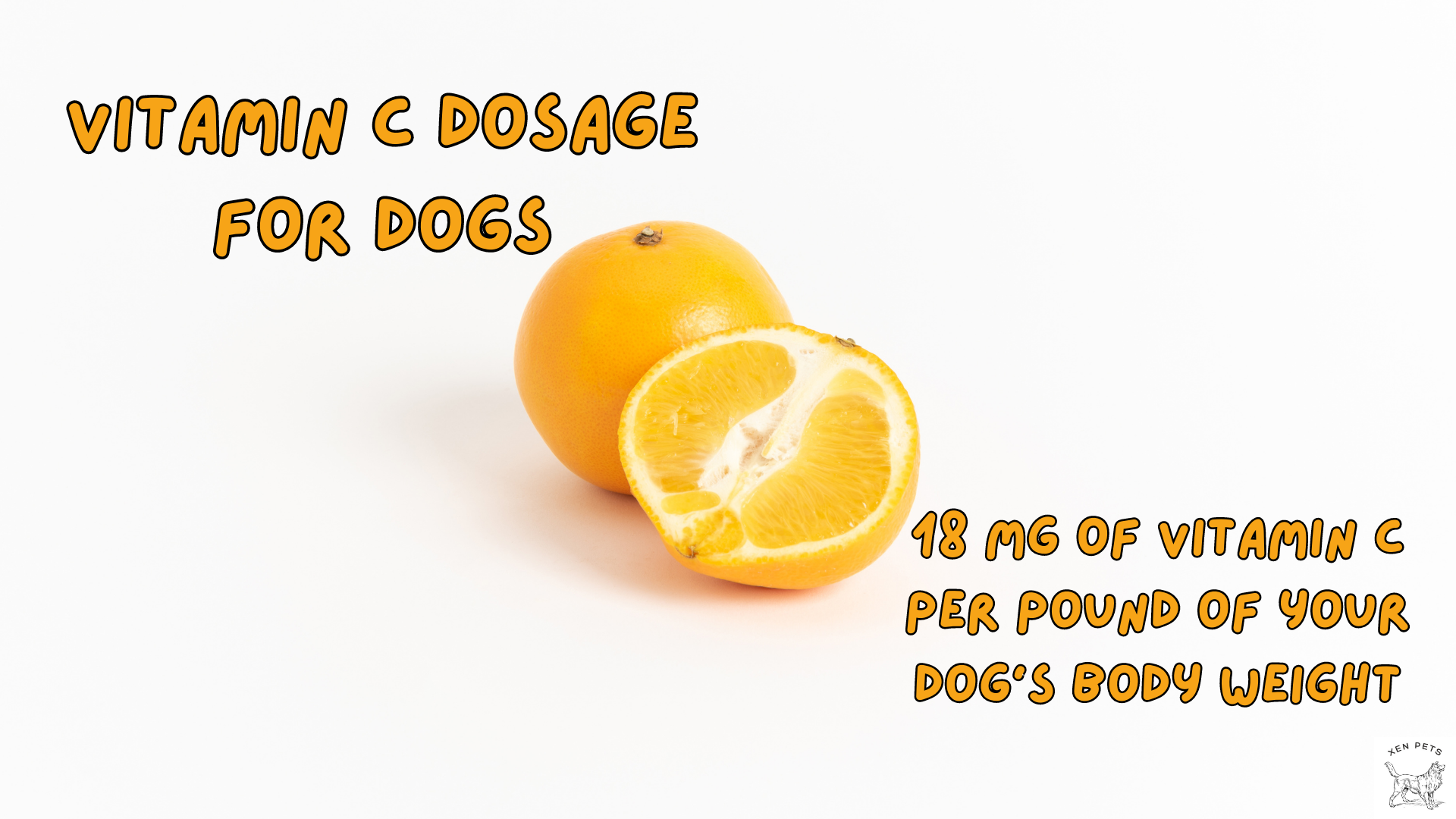 Vitamin C Dosage for Dogs