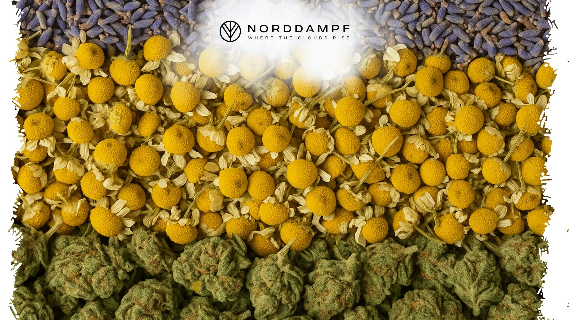 Cannabis, Kamille und Lavendel