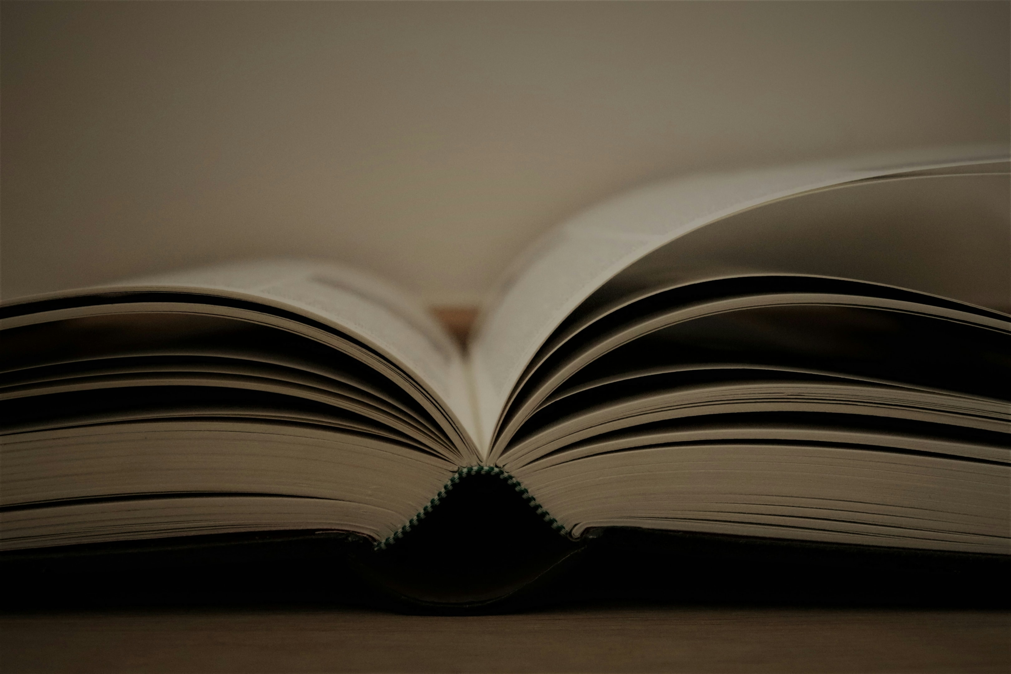 An image of an open book.