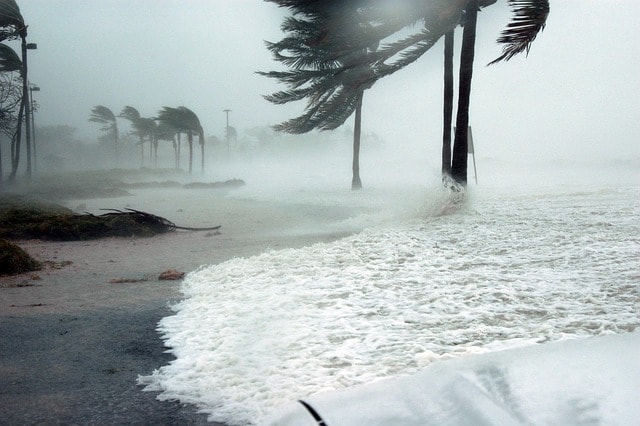 key west, florida, hurricane, dennis, storm, surge, water, raining, nature, wind, blowing, dangerous, sea, ocean, palm trees, beach, weather