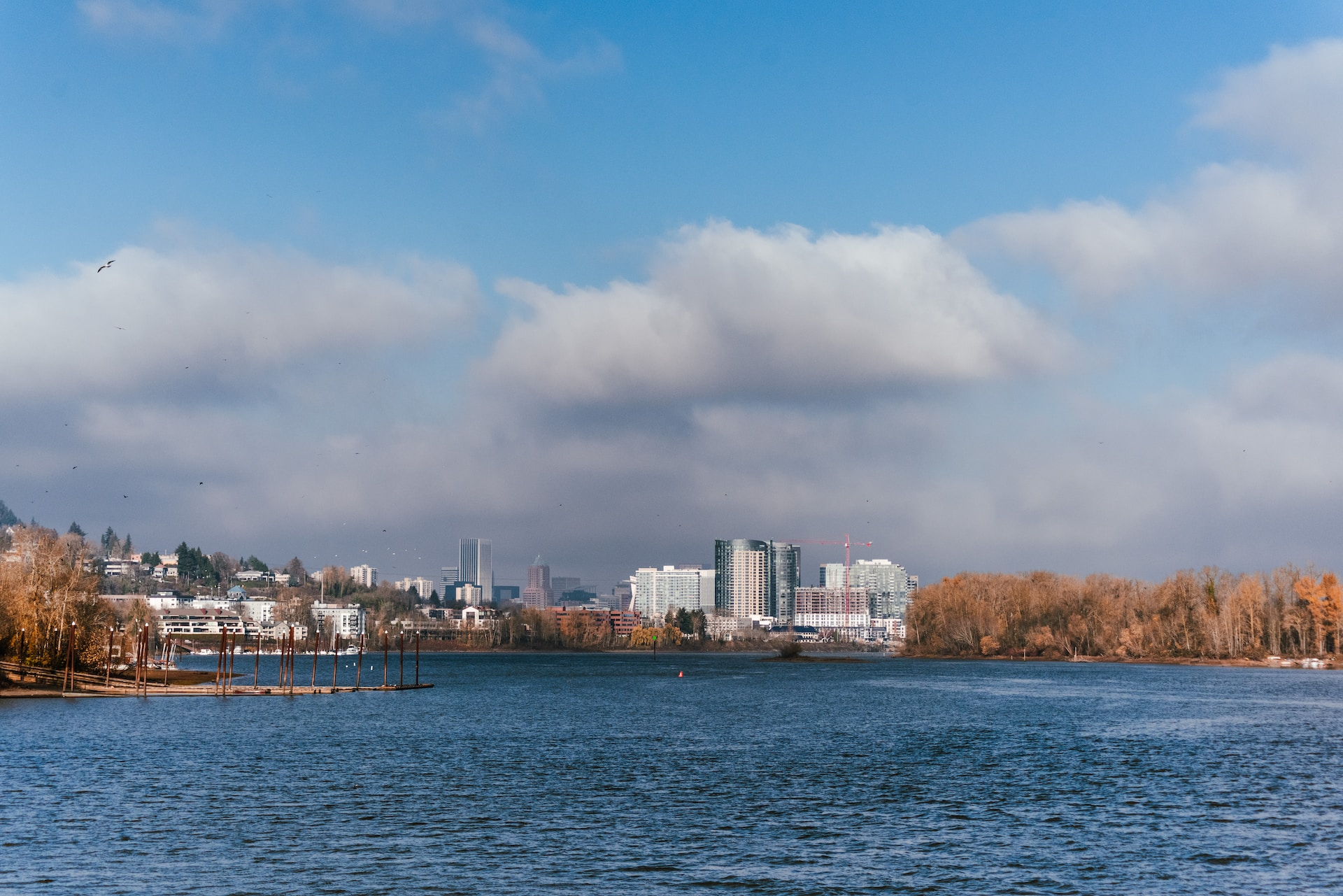 downtown portland dispensary - % 1 A one stop shop weed dispensary in downtown Portland