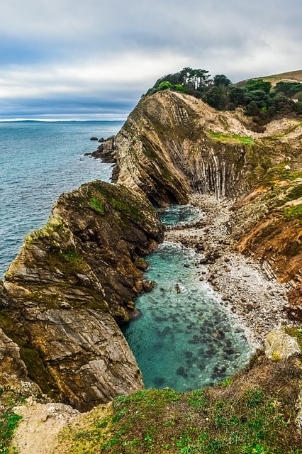Dorset Family Holidays: Wildlife Parks and Farms