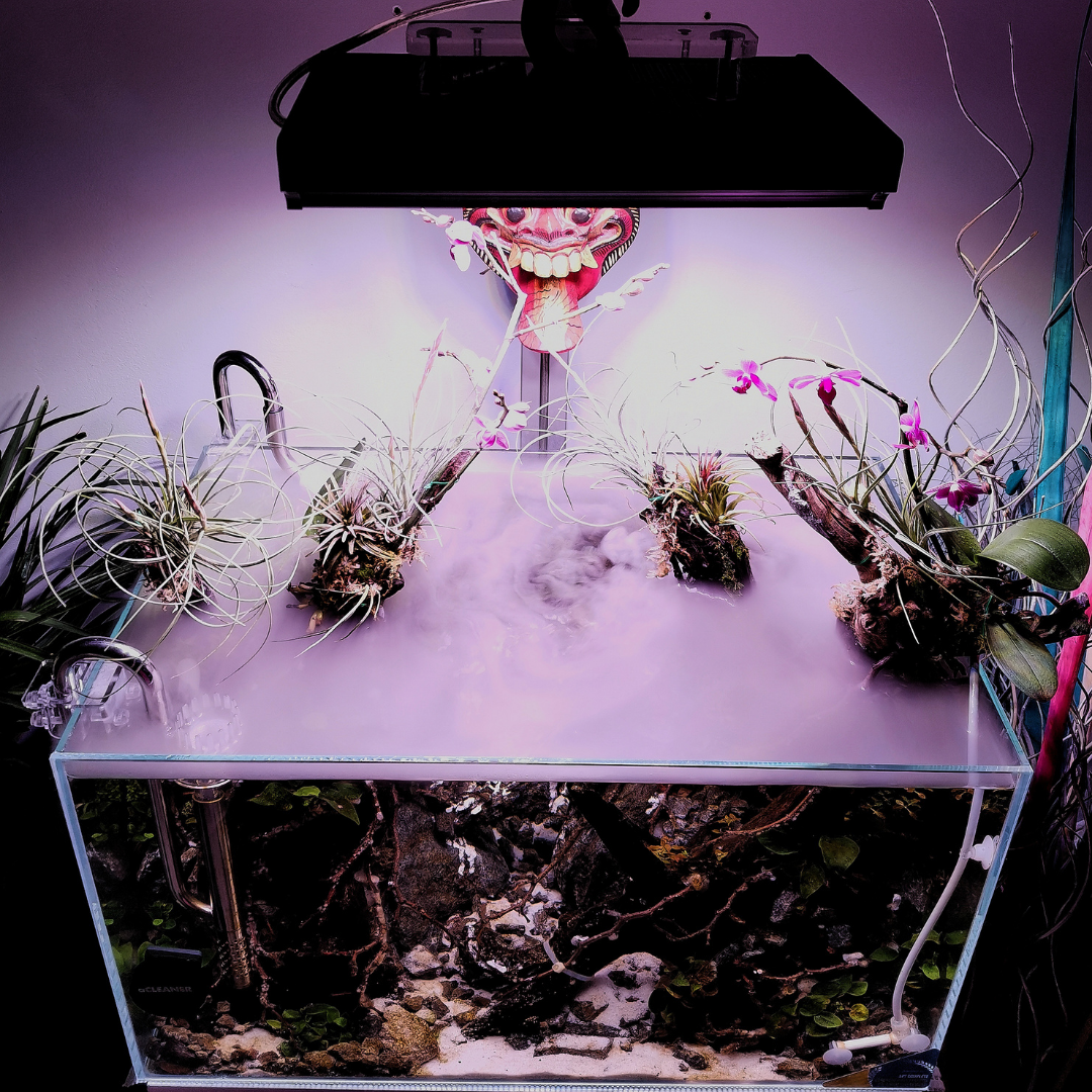 Beautiful clouds in the aquarium by Carlos Quiros