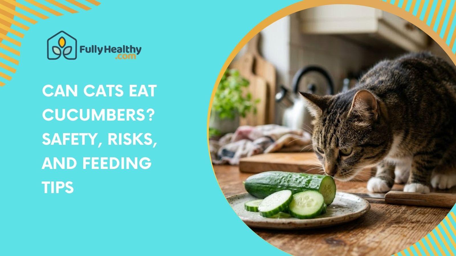 Can Cats Eat Cucumbers? Safety, Risks, And Feeding Tips