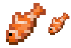 Tropical Fish Variants Minecraft