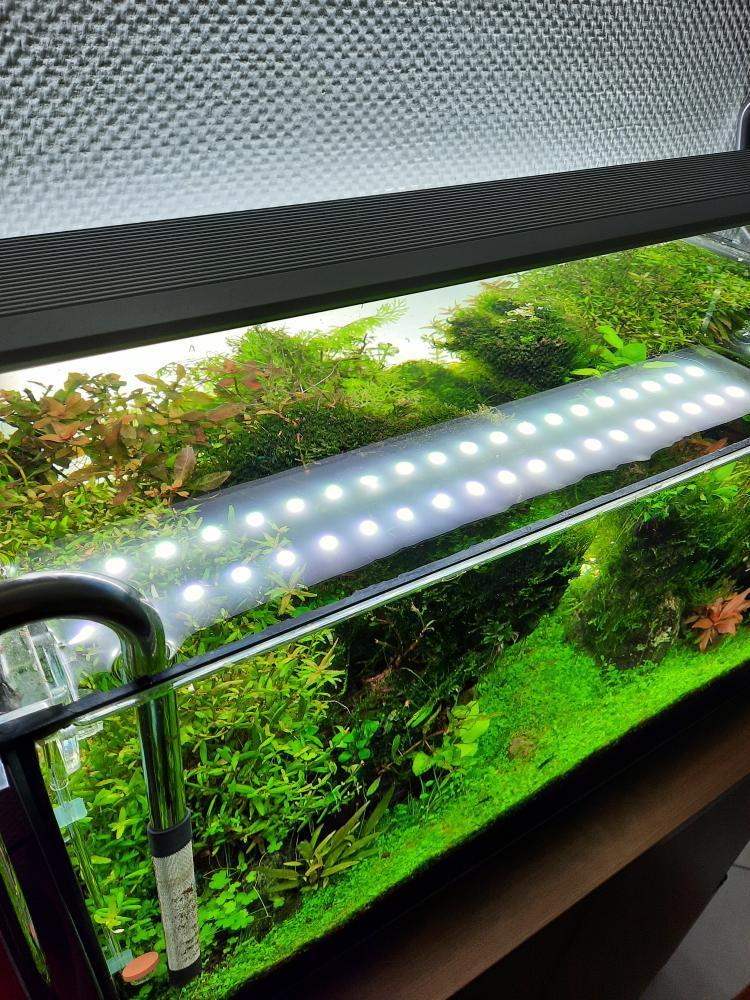 Remember that aquarium lights generate heat
