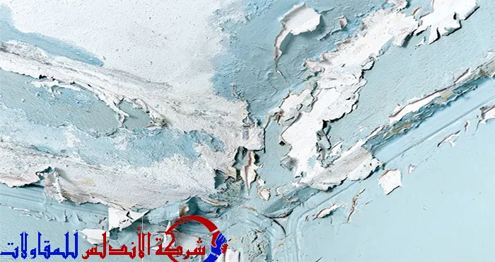  شركة كشف تسربات بالقصيم