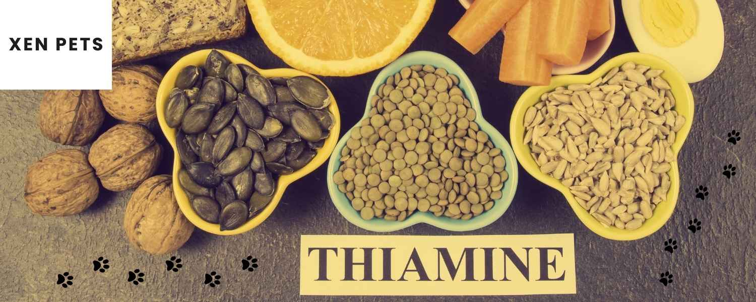 Thiamine mononitrate for store dogs