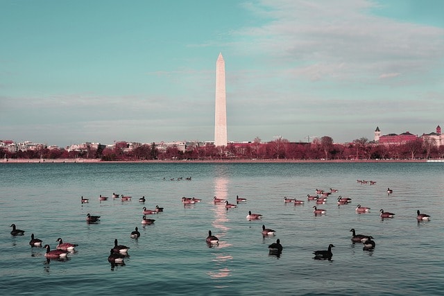 washingtondc, monument, memorial