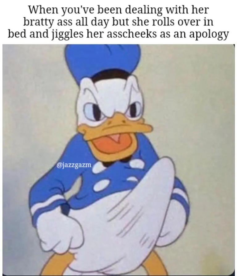 apology