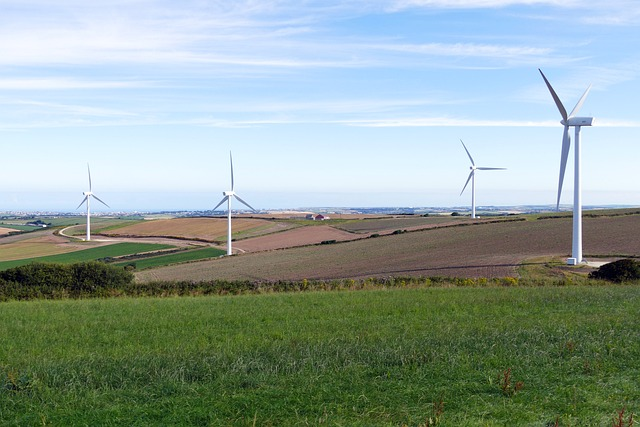 wind, wind turbines, energy