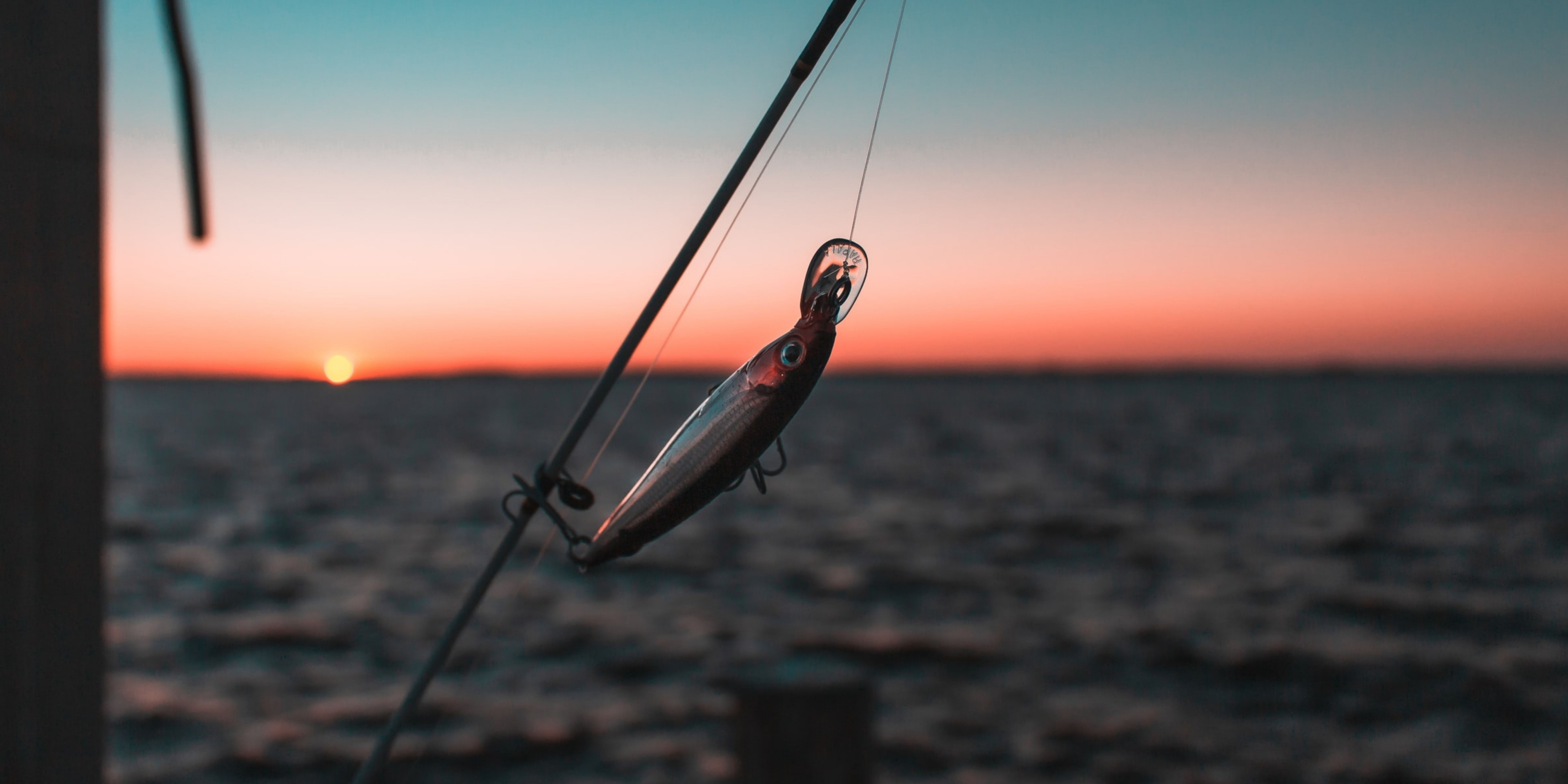 The Best Salmon Lures for a Successful Trip