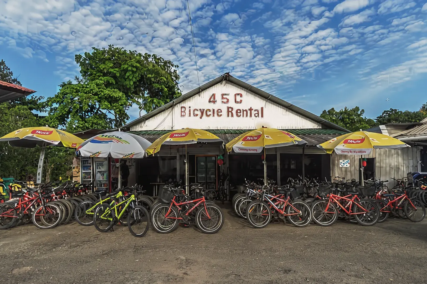 Pulau Ubin 45C Bicycle Rental shop with colorful bikes and yellow umbrellas under bright tropical sky