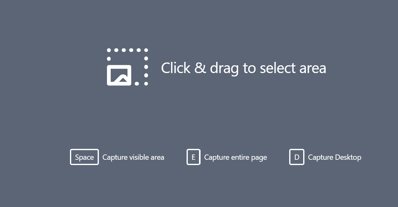 Zight screenshot options