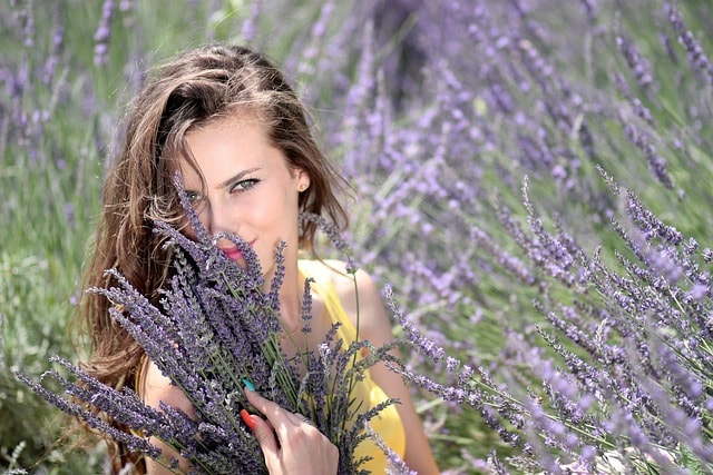 woman, lavender, flowers