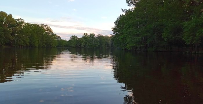 lake martin,bayou segnette state park,major commerce waterway,new paddlers,rent kayaks,isup,bayou,bayou lafourche