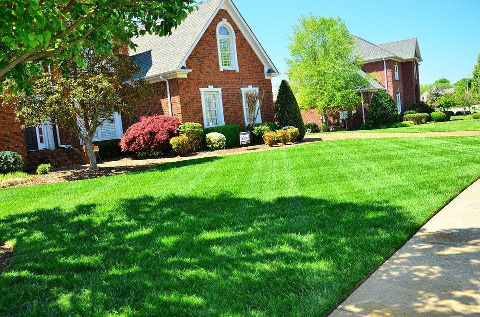 professional lawn aeration service