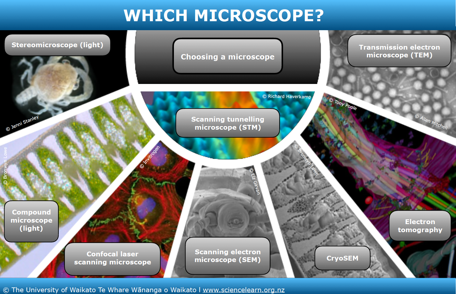 Maintenance tips for used microscopes
