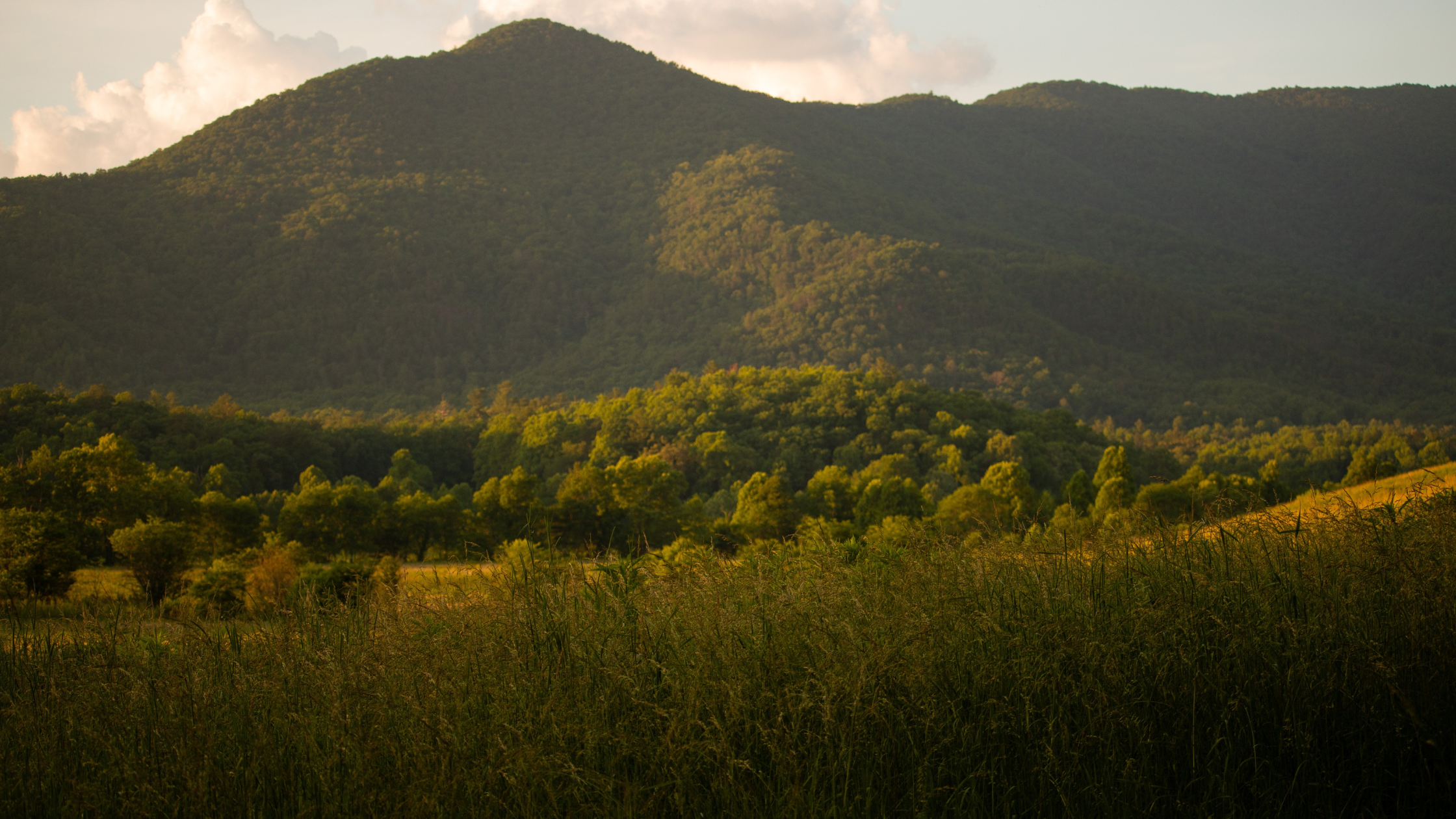 Great Smoky Mountains 