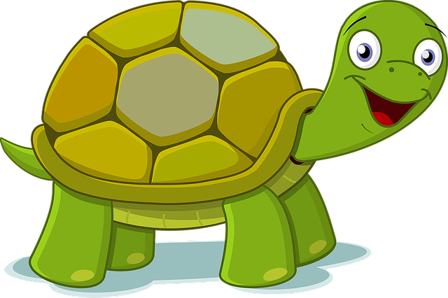 Cartoon Turtles Name
