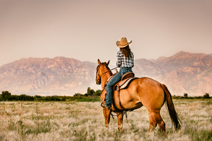 Young woman riding a horse. 