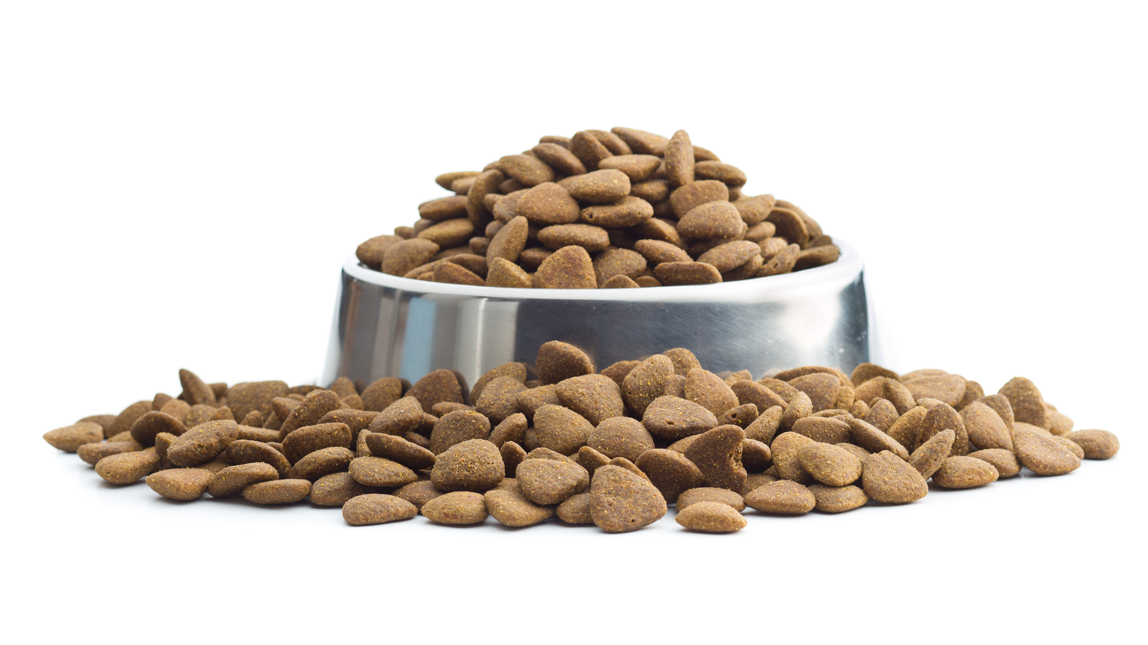 A stock image of dog kibble