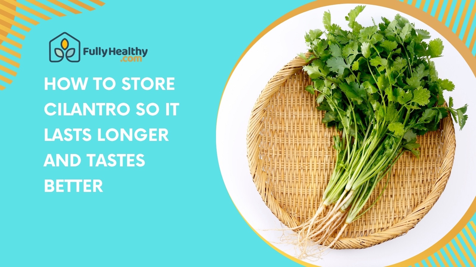 How to Store Cilantro So It Lasts Longer and Tastes Better