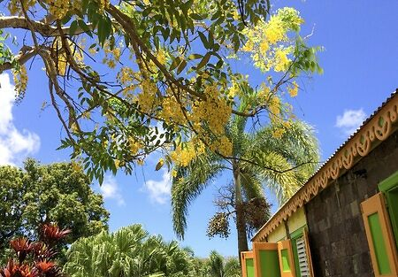 Nisbet Plantation Beach Club, Romney Manor1, St Kitts