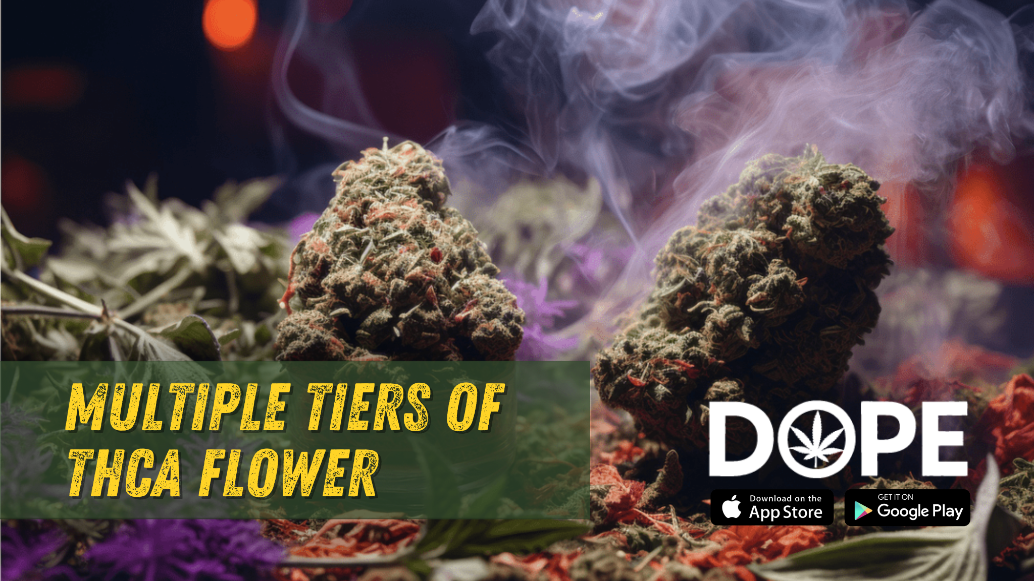 Different tiers of THCA flower, showcasing top shelf and mid-tier options.