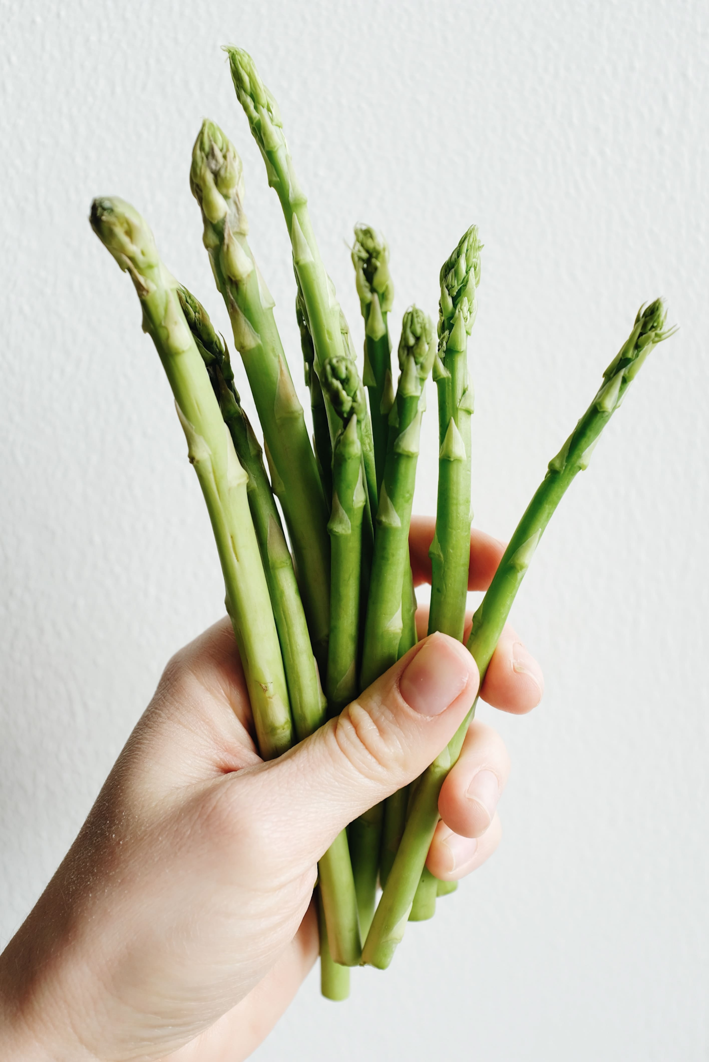 man's hand, vegetables, healthy diet, plant growth