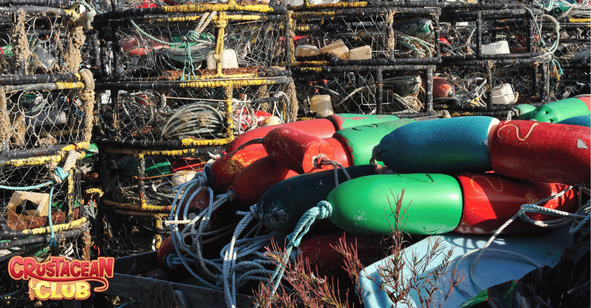 Gear for crabbing