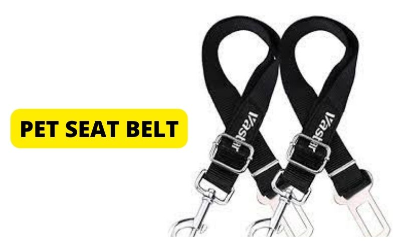 pet seat belts