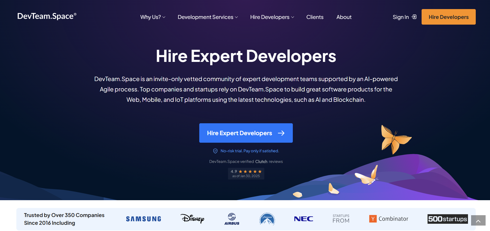 DevTeam-Reviews-from-Freelancers-and-Clients:-Pros,-Cons