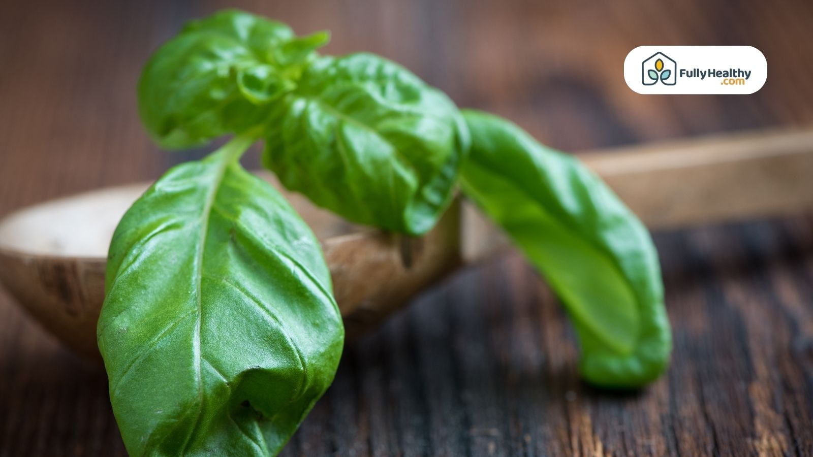 Fresh basil leaf on a wooden spoon on dark kitchen table