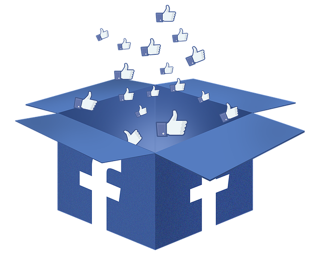 facebook box, facebook, tiktok