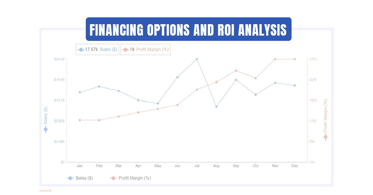 Line graph showing monthly sales and profit margin for ROI analysis.