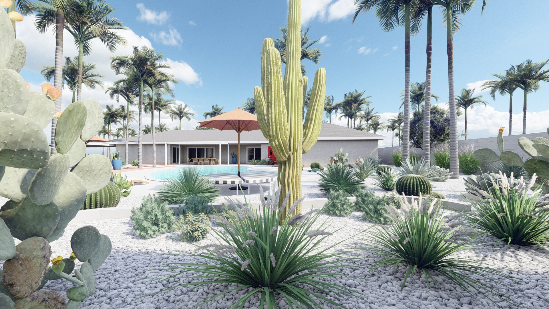 a cacti garden is a great desert landscaping ideas