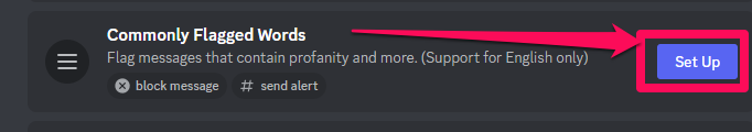 Commonly flagged words set up option on Discord