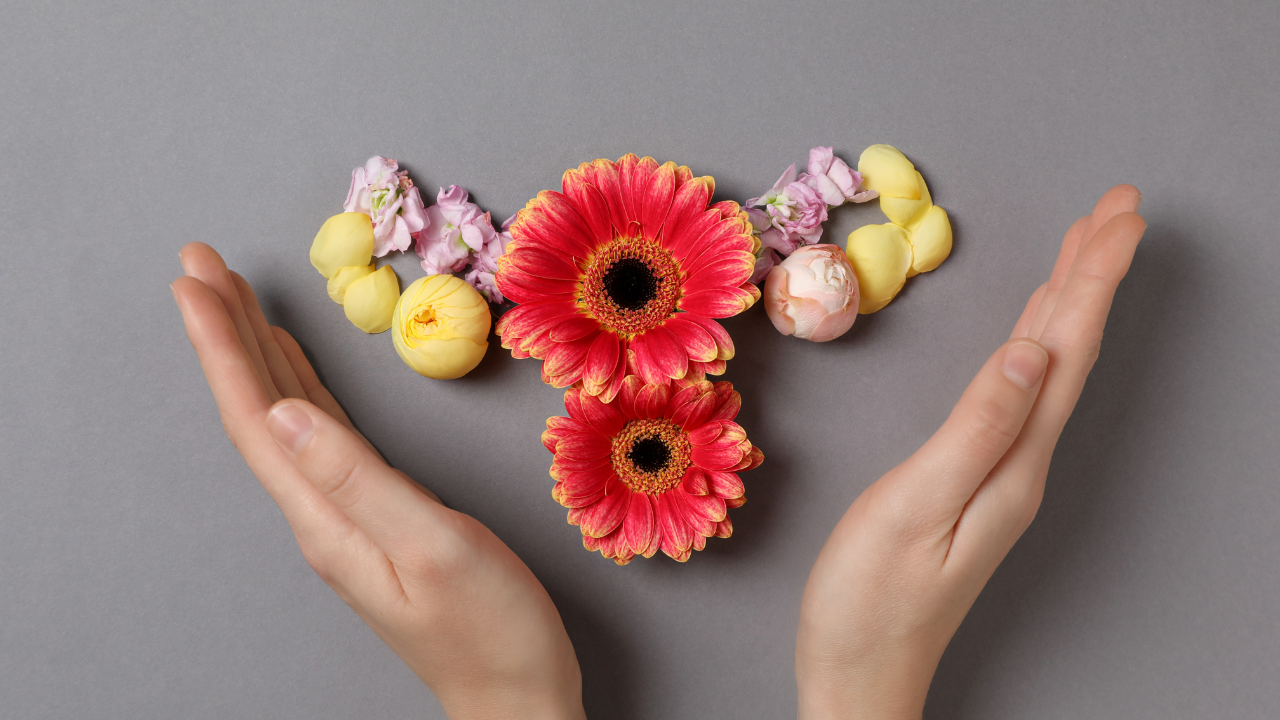 the female reproductive system